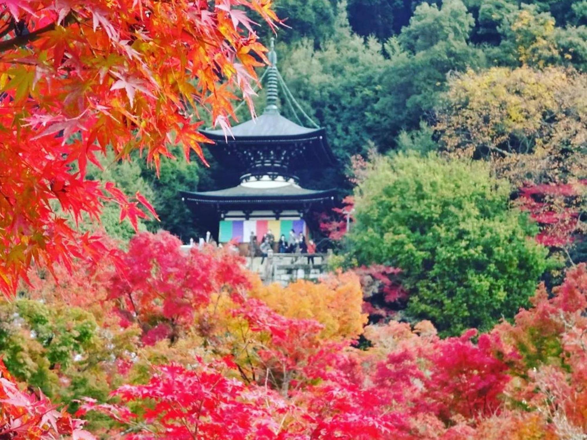 Yamamoto Ryokan Kyoto Luaran gambar
